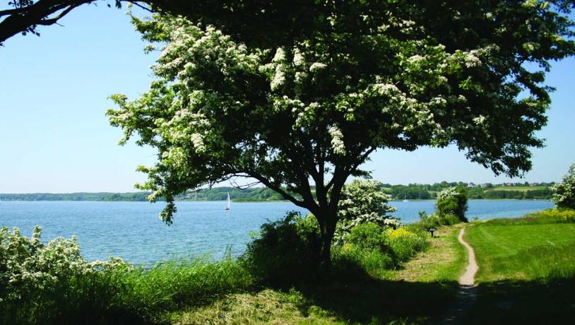 Wandern auf dem Gendarmstien