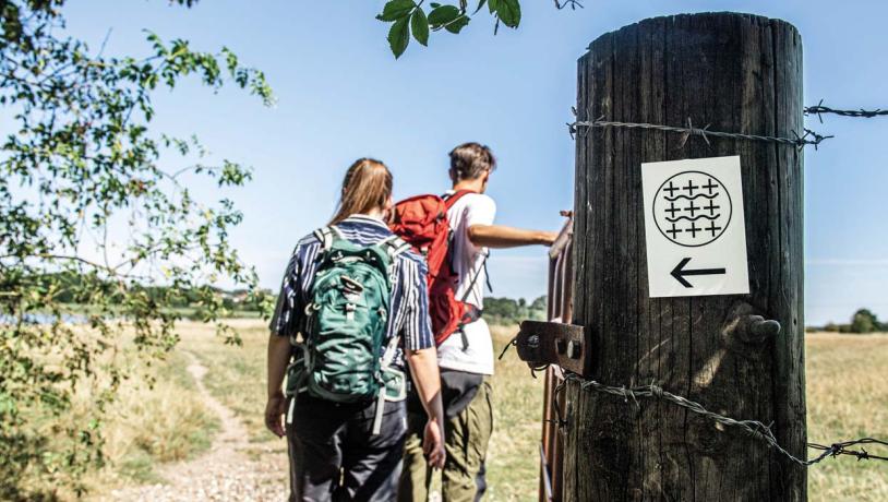 Vandrere på Camino Haderslev Næs med vejviserskilt i forgrunden