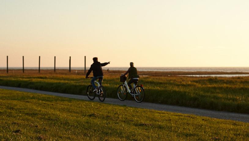 Par på cykel i Tøndermarsken