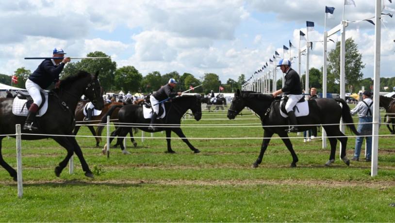 Ringreiterwettbewerb in Aabenraa