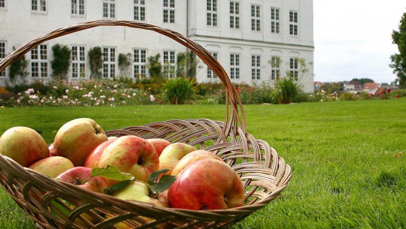 Æbler i kurv foran Graasten Slot