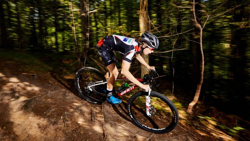 Mountainbikerytter på vej ned af en bakke i Pamhule Skov