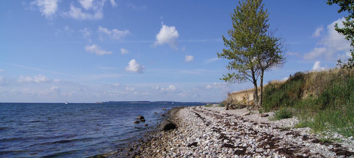 Årø die kleine Insel mit den vielen Vögeln VisitSønderjylland