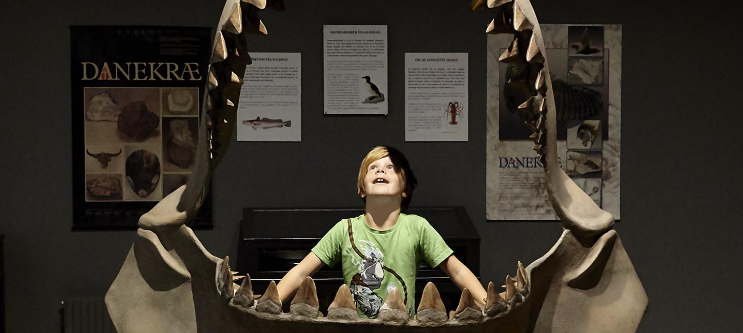 Begeisterter Junge im Museum beim Gram Lergrav (Tongrube)