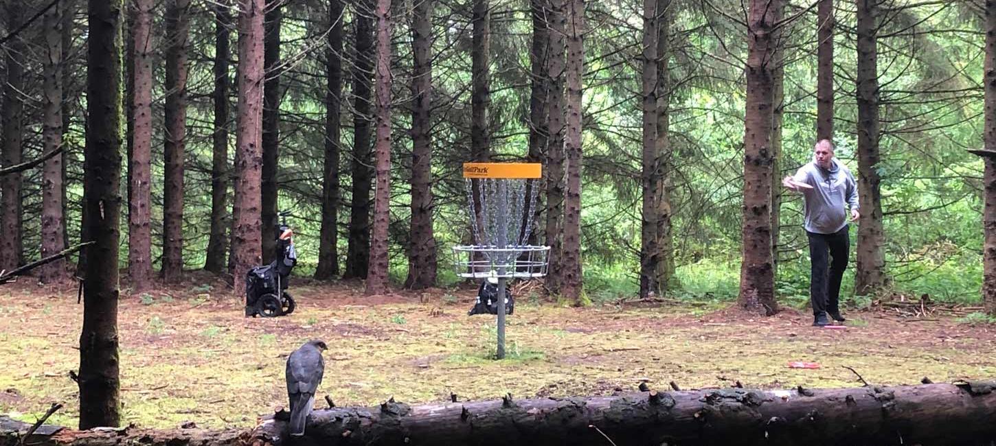 Disc Golf im Wald