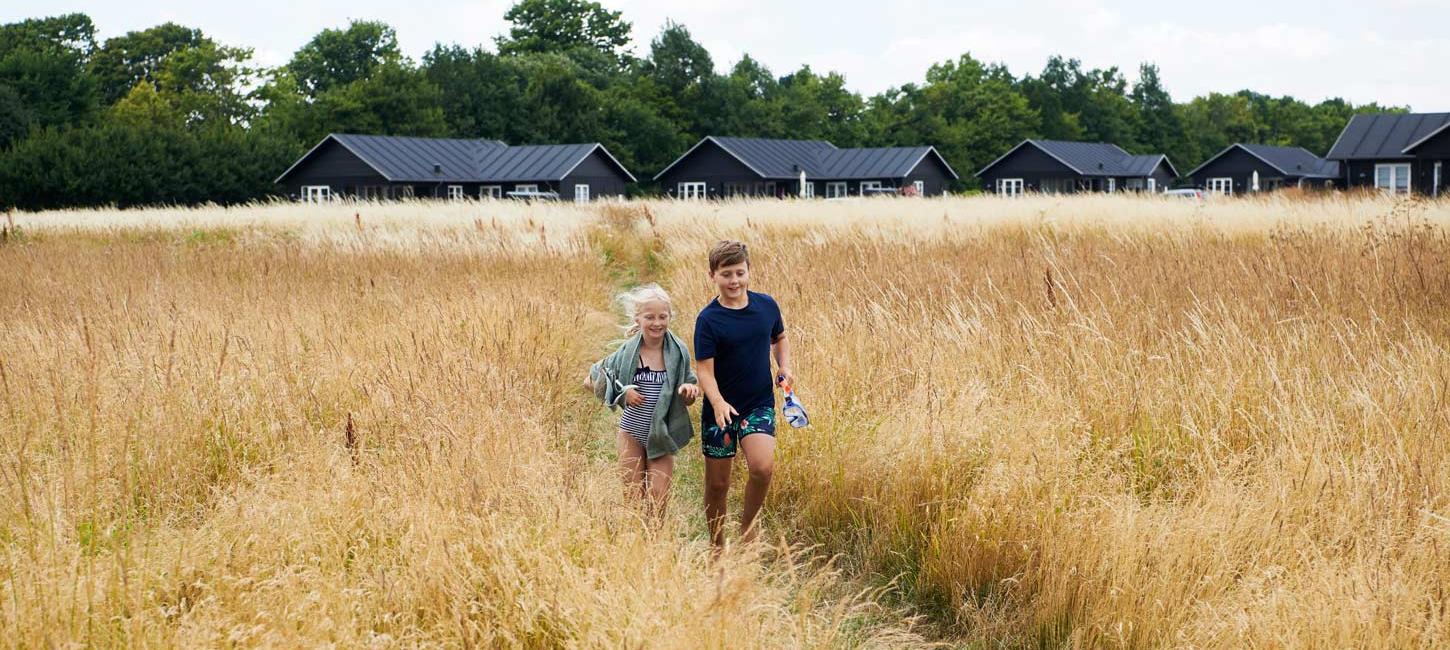 Kinder in einem Kornfeld vor Sommerhäusern