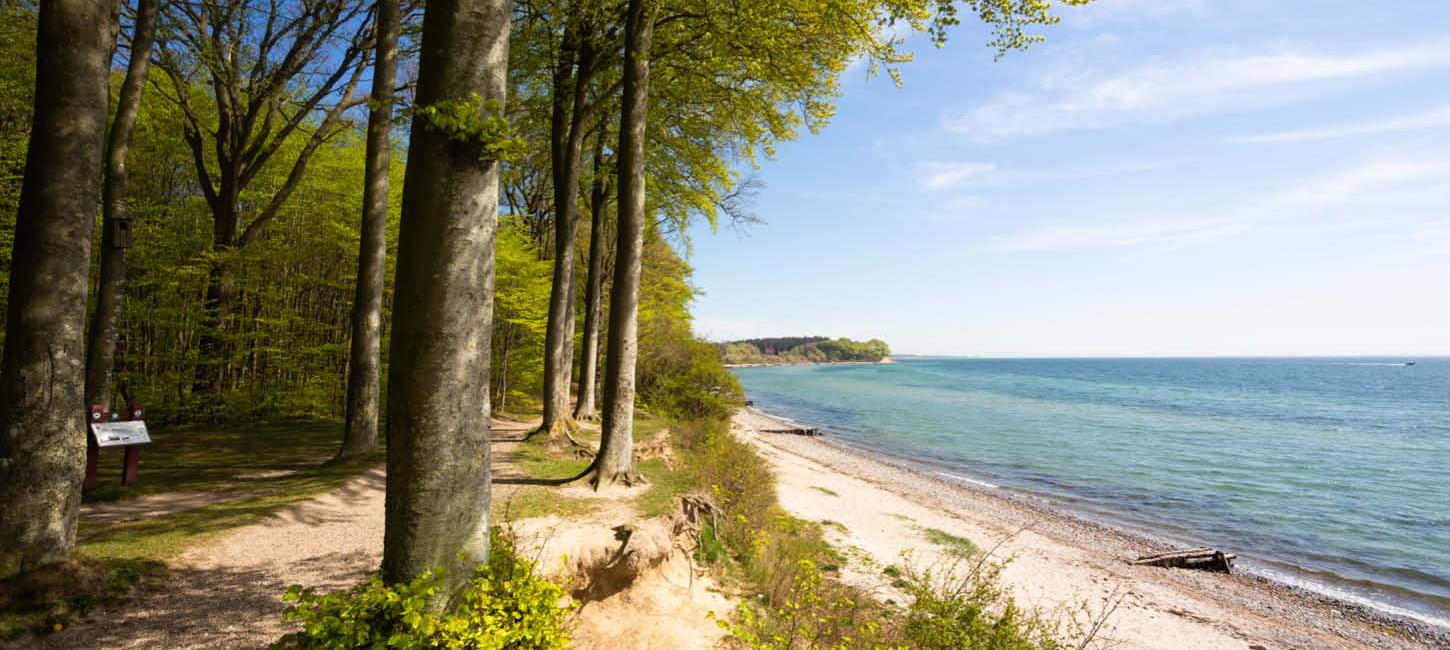 Der Wald, Sønderskoven Als bei Sønderborg