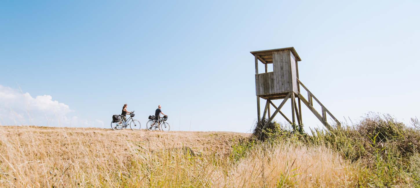 Cyklister ved fugleudkigspost på Årø