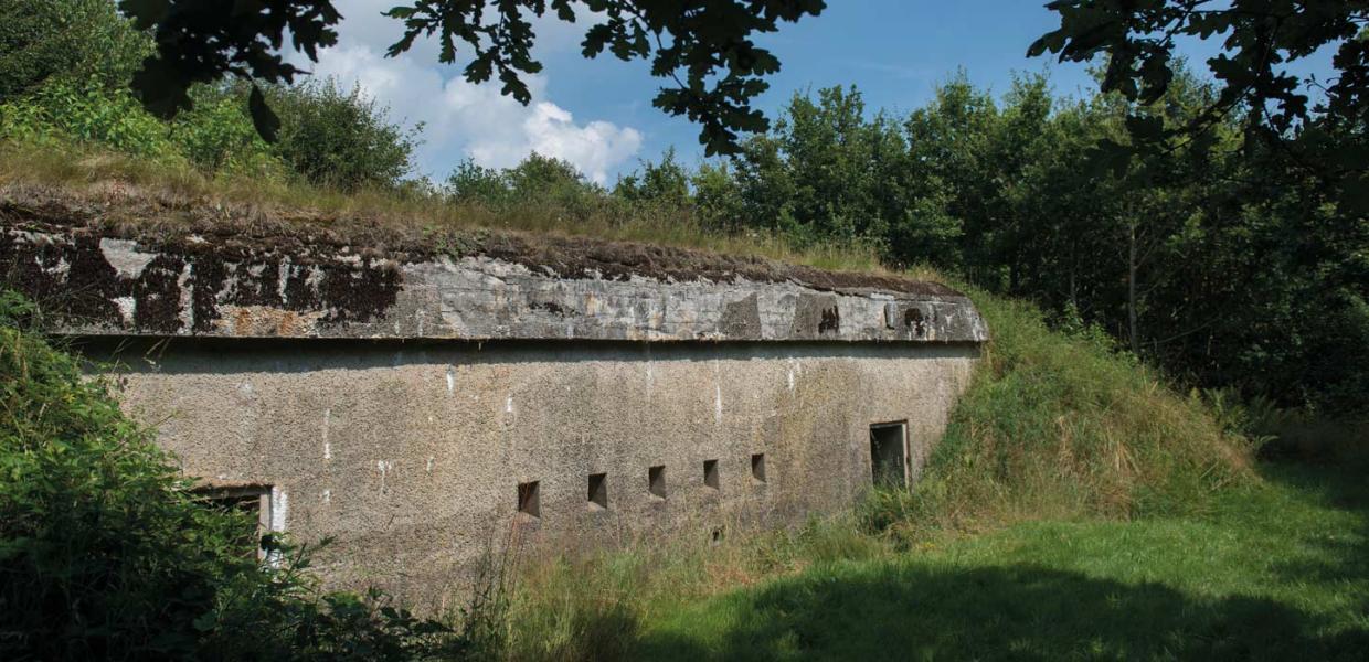 Sicherungsstellung Nord – intakte Batterie in Andholm