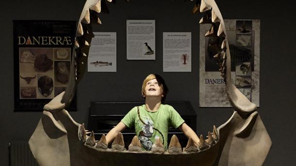 Begeisterter Junge im Museum beim Gram Lergrav (Tongrube)