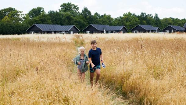 Kinder in einem Kornfeld vor Sommerhäusern