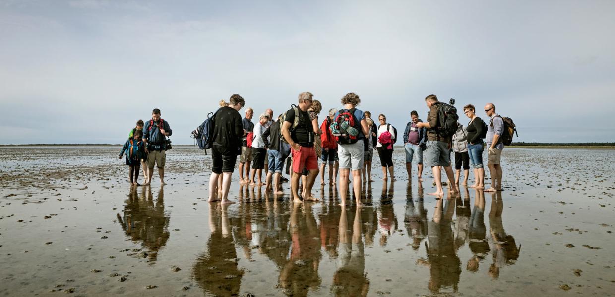 Wattenmeer