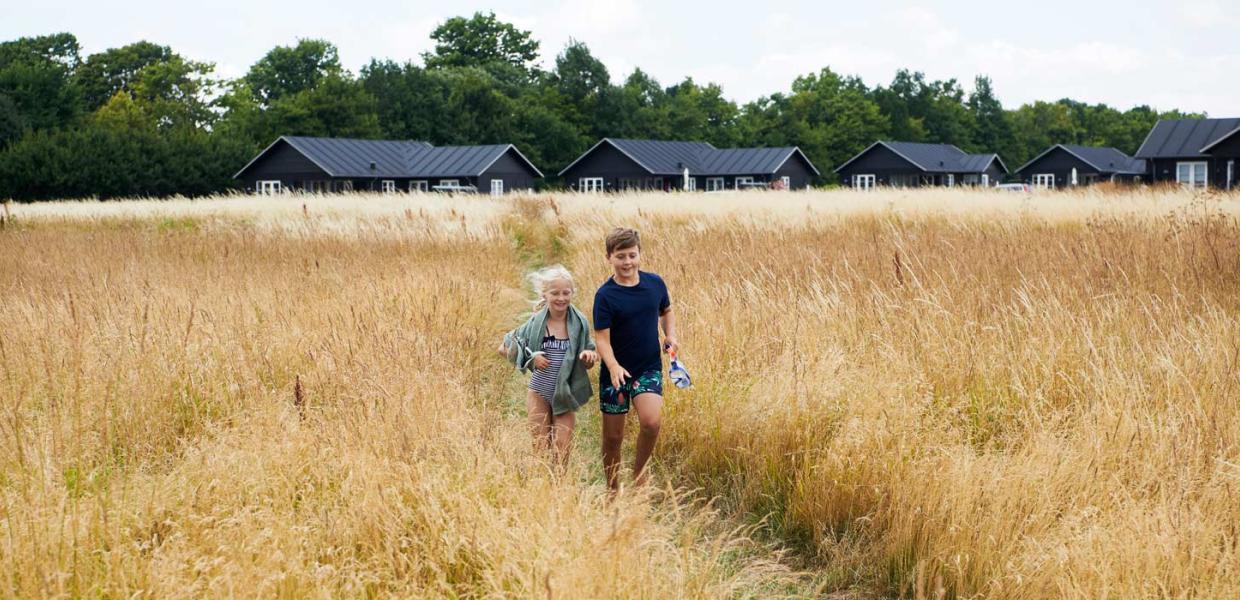 Kinder in einem Kornfeld vor Sommerhäusern