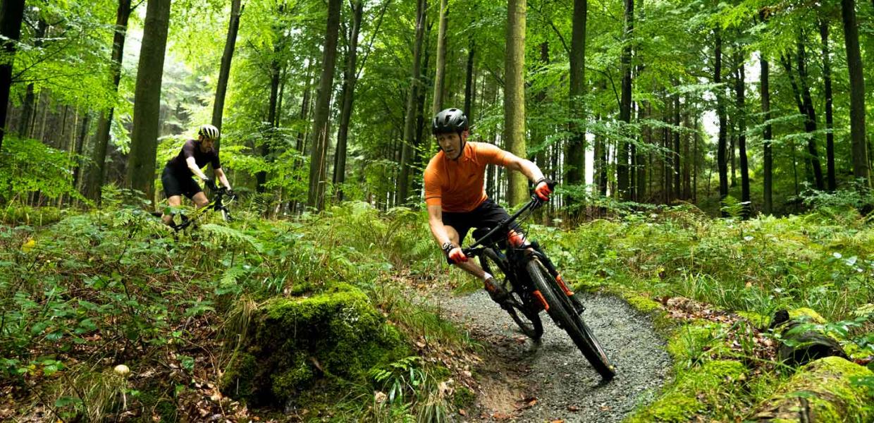 Mountainbikecyklister i skoven ved Aabenraa