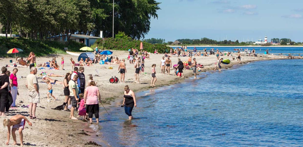 Badestrand bei Gammelbro Camping