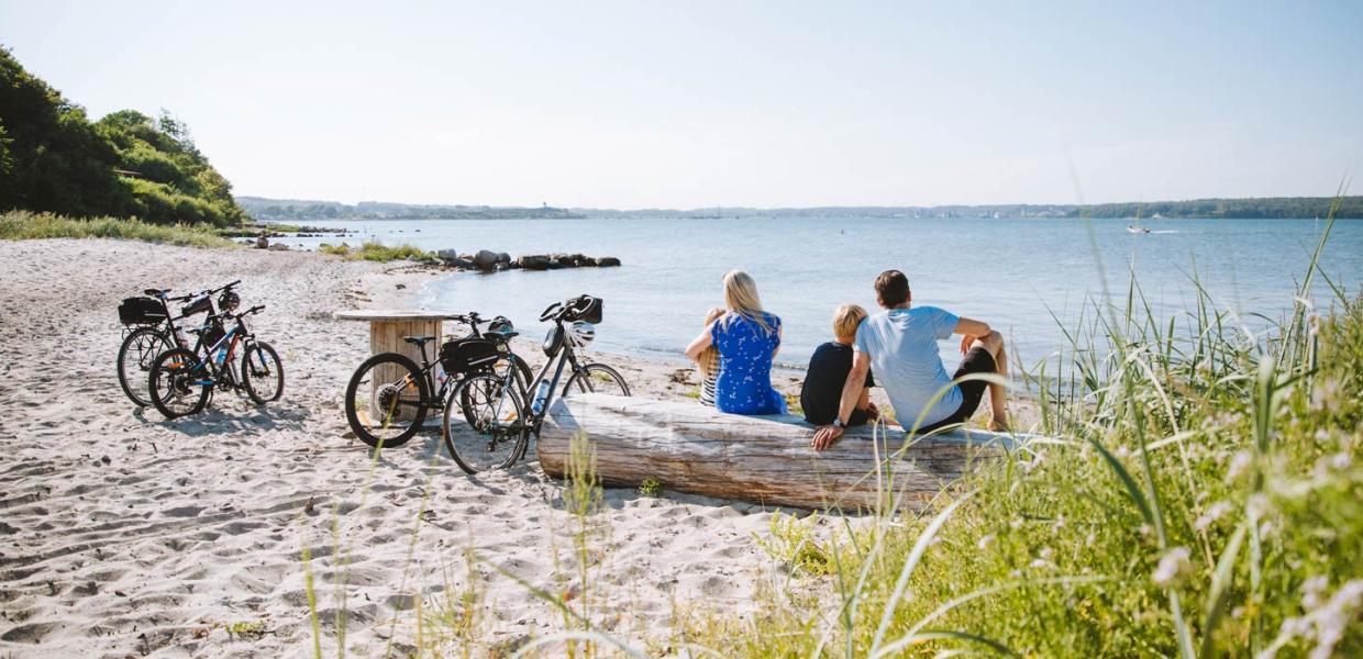 Familie sitzt mit Fahrrädern am Strand und schaut aufs Wasser 