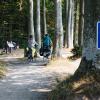 Radfahren auf der Østersørute bei Sønderskov