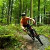 Mountainbikecyklister i skoven ved Aabenraa