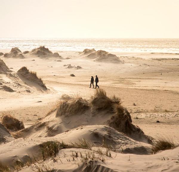 Dühnen auf Rømø