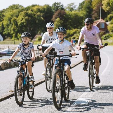 familie der cykler i sommerverjet 
