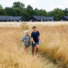 Kinder in einem Kornfeld vor Sommerhäusern