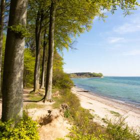 Der Wald, Sønderskoven Als bei Sønderborg