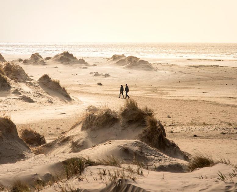 Dühnen auf Rømø