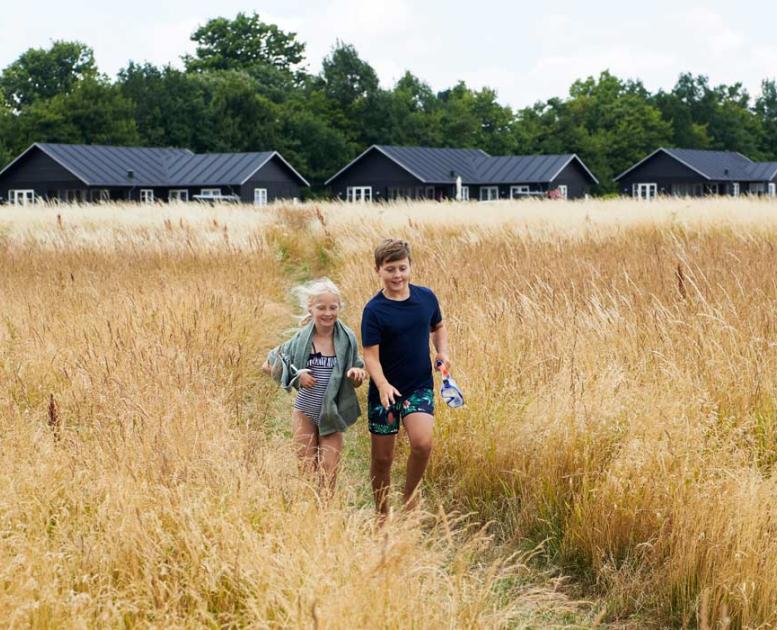 Kinder in einem Kornfeld vor Sommerhäusern